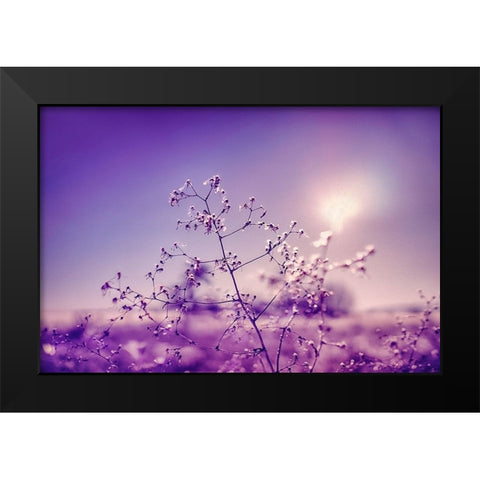 Winter Symphony Black Modern Wood Framed Art Print by Menhard, Ingo