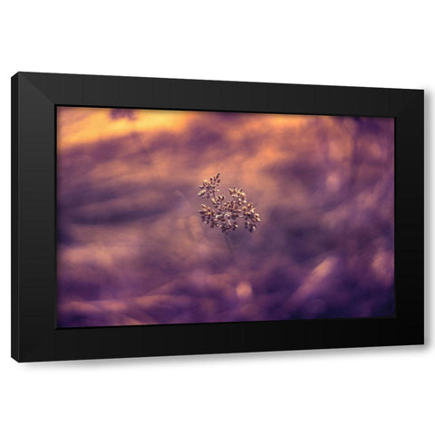 Violet Life Black Modern Wood Framed Art Print with Double Matting by Menhard, Ingo