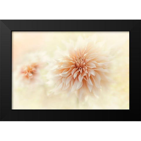 Cafe Au Lait Dahlia Black Modern Wood Framed Art Print by Parker, Jacky