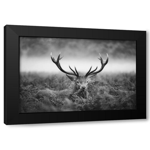 Vvv Black Modern Wood Framed Art Print with Double Matting by Fabrowski, Robert