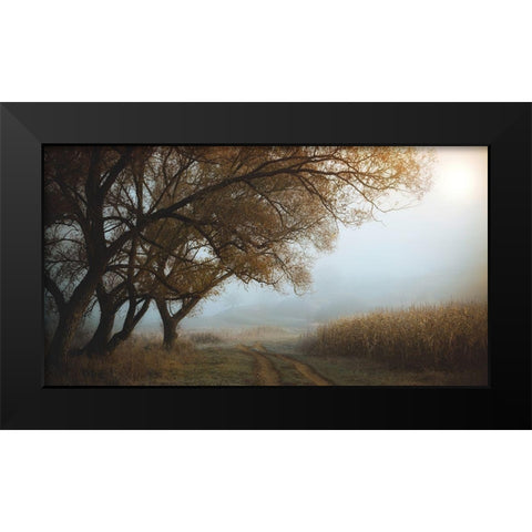 October Morning Black Modern Wood Framed Art Print by Hoandra, Nicu