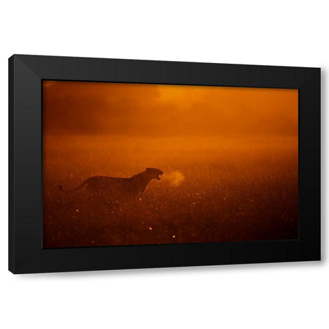 Puff Black Modern Wood Framed Art Print by Alnaser, Mohammed