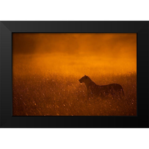 Gold Dust Black Modern Wood Framed Art Print by Alnaser, Mohammed