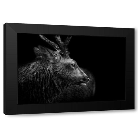 Looking Back Black Modern Wood Framed Art Print with Double Matting by Itoyama, Eiji