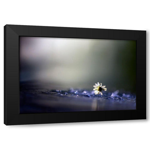 Twilight Black Modern Wood Framed Art Print with Double Matting by Zahirimehr, Maryam