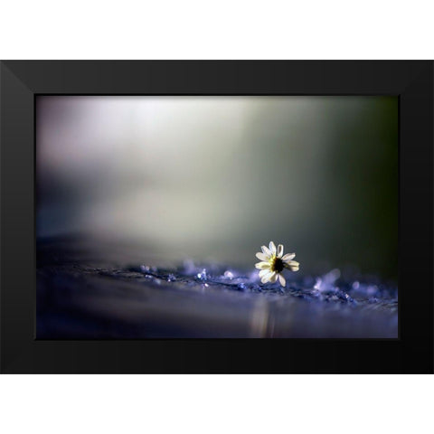 Twilight Black Modern Wood Framed Art Print by Zahirimehr, Maryam