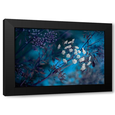 Queen AnneS Lace Black Modern Wood Framed Art Print with Double Matting by Parker, Jacky