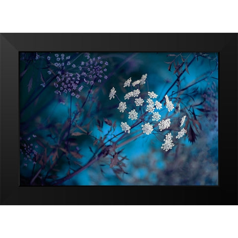 Queen AnneS Lace Black Modern Wood Framed Art Print by Parker, Jacky