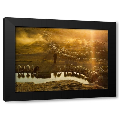 Shepherd Black Modern Wood Framed Art Print with Double Matting by Tunc, Feyzullah