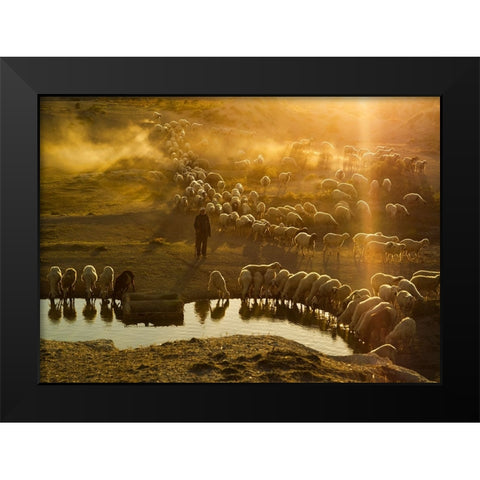 Shepherd Black Modern Wood Framed Art Print by Tunc, Feyzullah