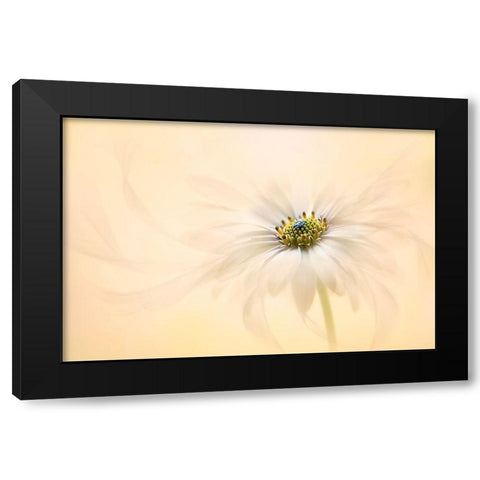 Melody Black Modern Wood Framed Art Print with Double Matting by Parker, Jacky