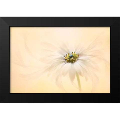 Melody Black Modern Wood Framed Art Print by Parker, Jacky