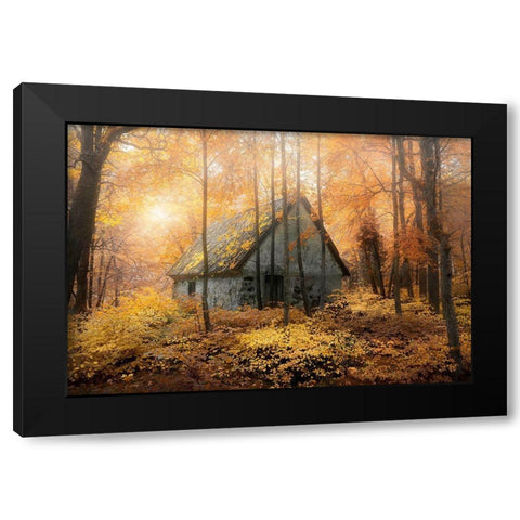 House In The Forest During Fallseason Black Modern Wood Framed Art Print with Double Matting by Lindsten, Christian