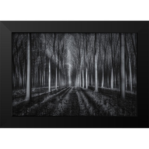 Into The Forest Black Modern Wood Framed Art Print by Zhu, Jingshu
