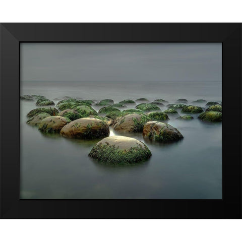 Bowling Ball Beach Black Modern Wood Framed Art Print by W. Chen, Janice