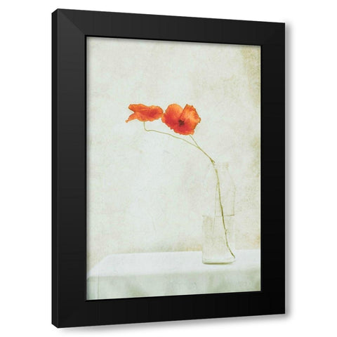 Two Poppies In A Bottle Black Modern Wood Framed Art Print by Devos, Delphine