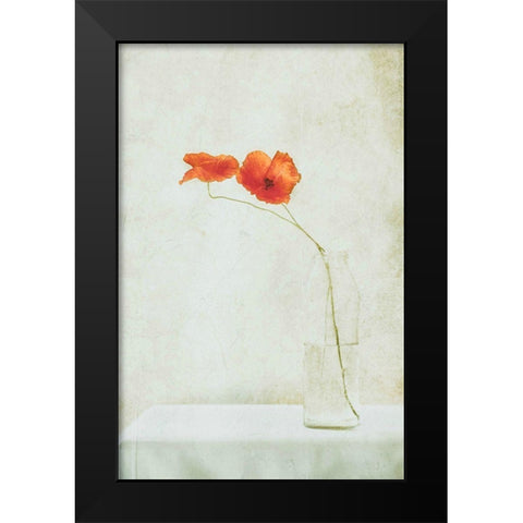 Two Poppies In A Bottle Black Modern Wood Framed Art Print by Devos, Delphine