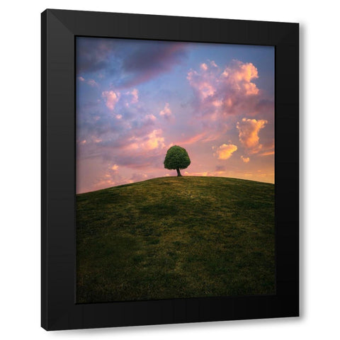 Tree On Hill During Sunset Black Modern Wood Framed Art Print by Lindsten, Christian