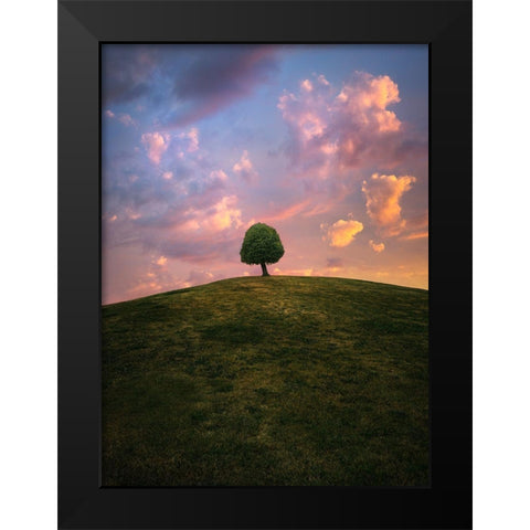 Tree On Hill During Sunset Black Modern Wood Framed Art Print by Lindsten, Christian
