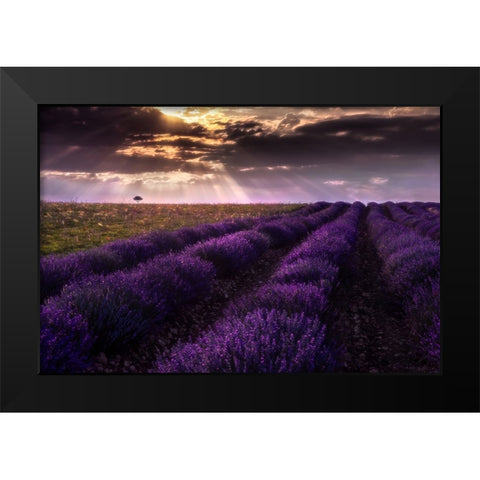 Between Flowers Black Modern Wood Framed Art Print by Concepcion Alvarado, Jesus