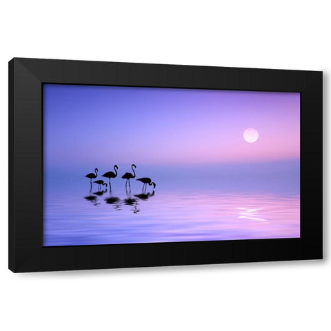 Morning Flamingo Black Modern Wood Framed Art Print by Hamiti, Bess