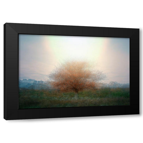 Mirage Black Modern Wood Framed Art Print with Double Matting by Holmstrom, Katarina