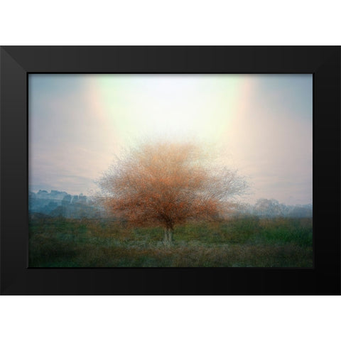 Mirage Black Modern Wood Framed Art Print by Holmstrom, Katarina