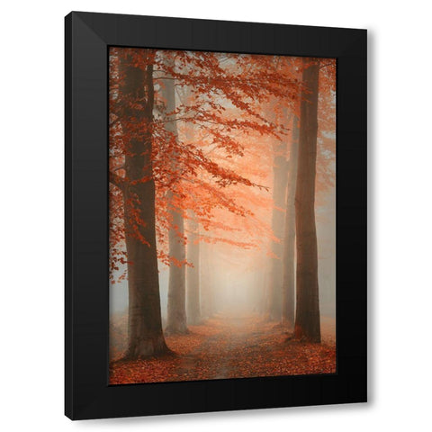 Autumn Dream Black Modern Wood Framed Art Print by Dingemans, Saskia