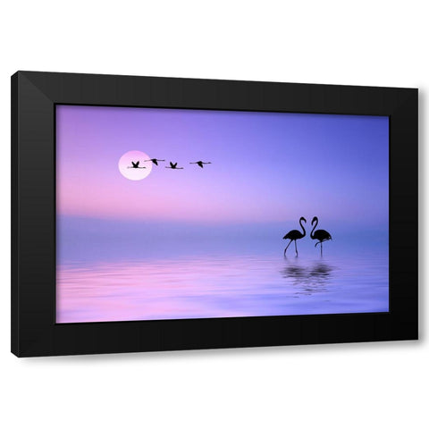 Flying Flamingo Black Modern Wood Framed Art Print by Hamiti, Bess