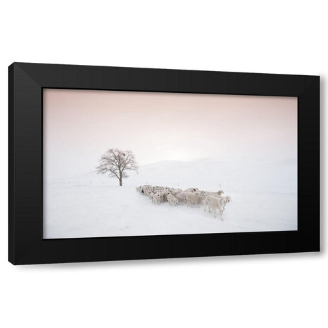 Flock Looking For Food Black Modern Wood Framed Art Print by Z, Bingo