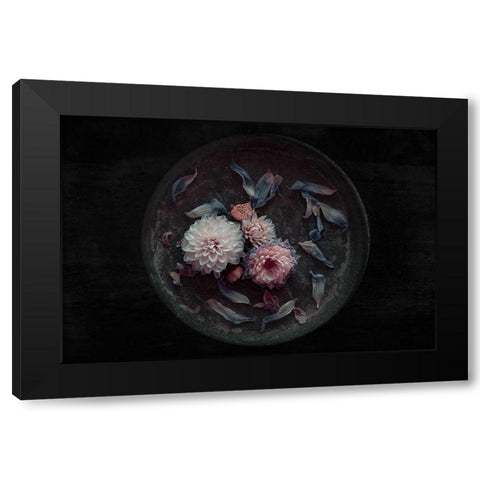 Dahlia On Their Last Black Modern Wood Framed Art Print with Double Matting by Schuster, Inge
