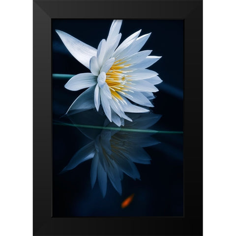 Reflecting World Black Modern Wood Framed Art Print by Suzuki, Takashi
