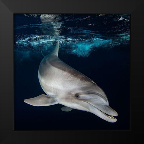 Life Is Short-Smile While You Still Have Teeth... Black Modern Wood Framed Art Print by Cohen, Oren