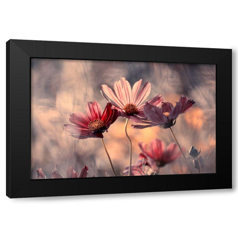 The Three Sisters Black Modern Wood Framed Art Print by Bravin, Fabien