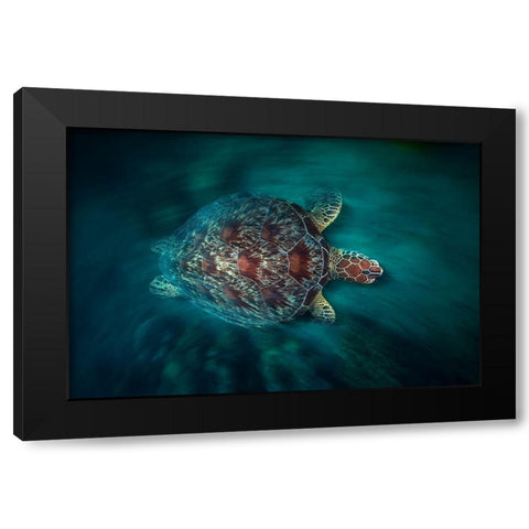 Vaclocity Turtle Black Modern Wood Framed Art Print with Double Matting by Gabriel, Barathieu
