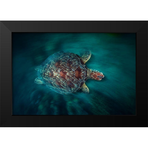Vaclocity Turtle Black Modern Wood Framed Art Print by Gabriel, Barathieu