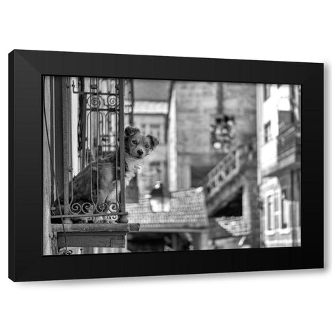 Untitled Black Modern Wood Framed Art Print by Carlos, KK