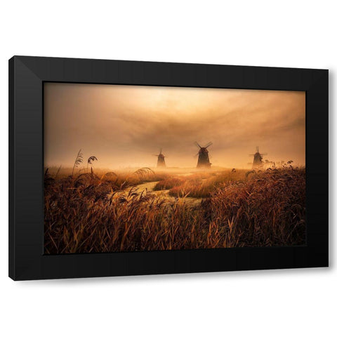 A Fascinating Morning Black Modern Wood Framed Art Print by Seo, Tiger