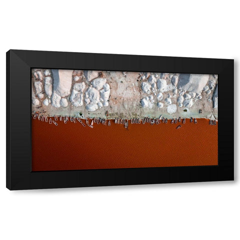 Feeding On Salt Black Modern Wood Framed Art Print by Epure, Paul-Vlad