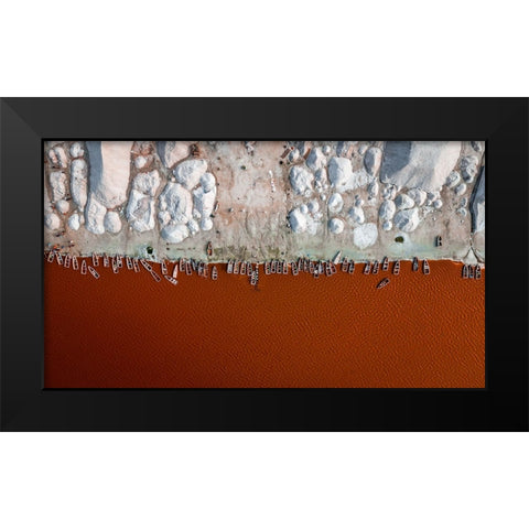 Feeding On Salt Black Modern Wood Framed Art Print by Epure, Paul-Vlad