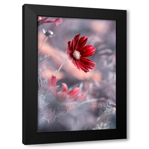 Carmen II Black Modern Wood Framed Art Print with Double Matting by BRAVIN, Fabien