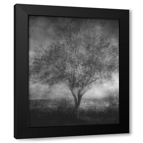 Reminisce Black Modern Wood Framed Art Print with Double Matting by Holmstrom, Katarina