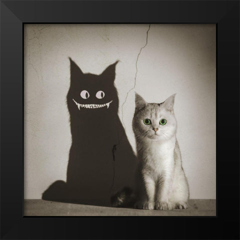 The Shadow Smiles To You Black Modern Wood Framed Art Print by F, Terry