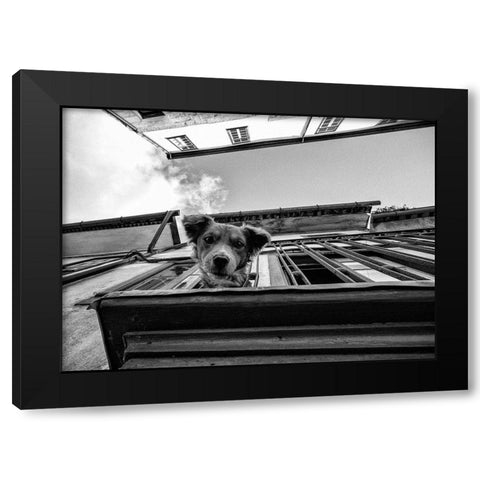 Untitled Black Modern Wood Framed Art Print by Carlos