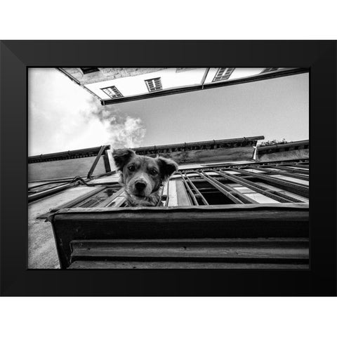 Untitled Black Modern Wood Framed Art Print by Carlos