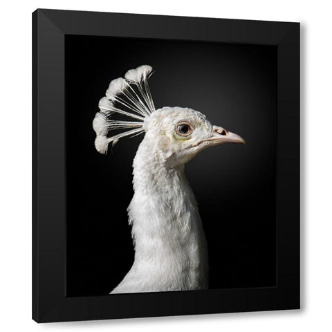 M A J E S T I C Black Modern Wood Framed Art Print with Double Matting by Fegari