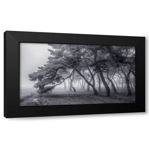 Always Black Modern Wood Framed Art Print with Double Matting by Seo, Tiger