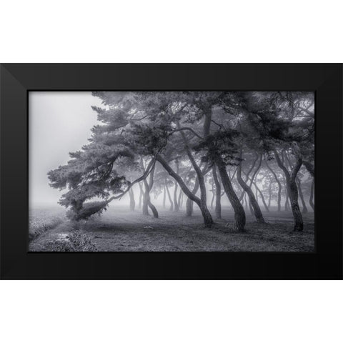 Always Black Modern Wood Framed Art Print by Seo, Tiger
