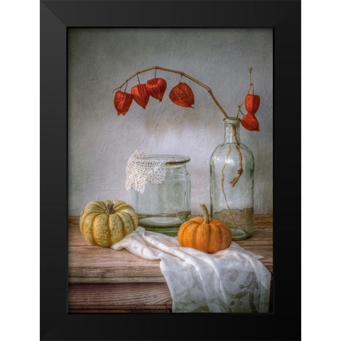 Still Life With Physalis And Pumpkin Black Modern Wood Framed Art Print by Disher, Mandy