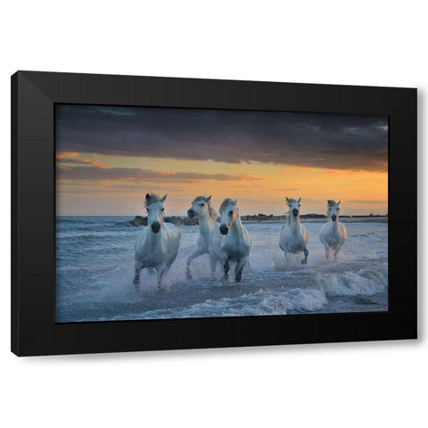 In The Waves Black Modern Wood Framed Art Print with Double Matting by Vekemans, Muriel